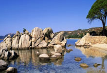 关于赛前速览：全锦赛次回合达拉斯独行侠对阵菲尼克斯太阳，三大看点值得期待的信息